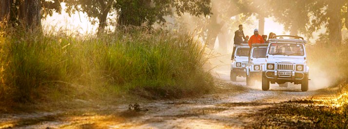 525/Club Mahindra Corbett - Corbett National Park 11.jpg